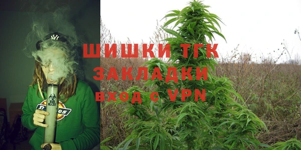PSILOCYBIN Аркадак