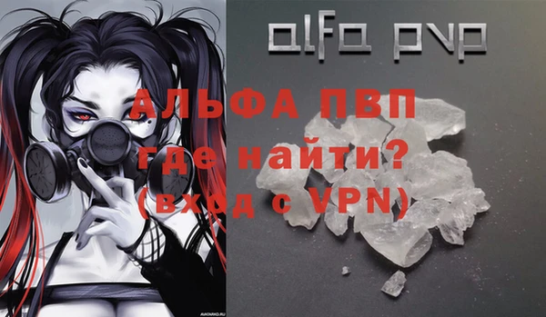 PSILOCYBIN Аркадак