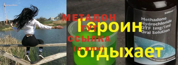 PSILOCYBIN Аркадак